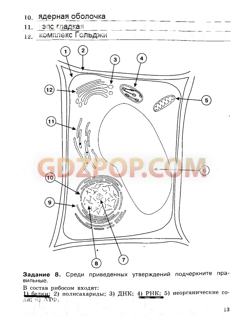 ГДЗ ГДЗ решебник по биологии 10-11 класс рабочая тетрадь Саблина Дымшиц  Ответы
