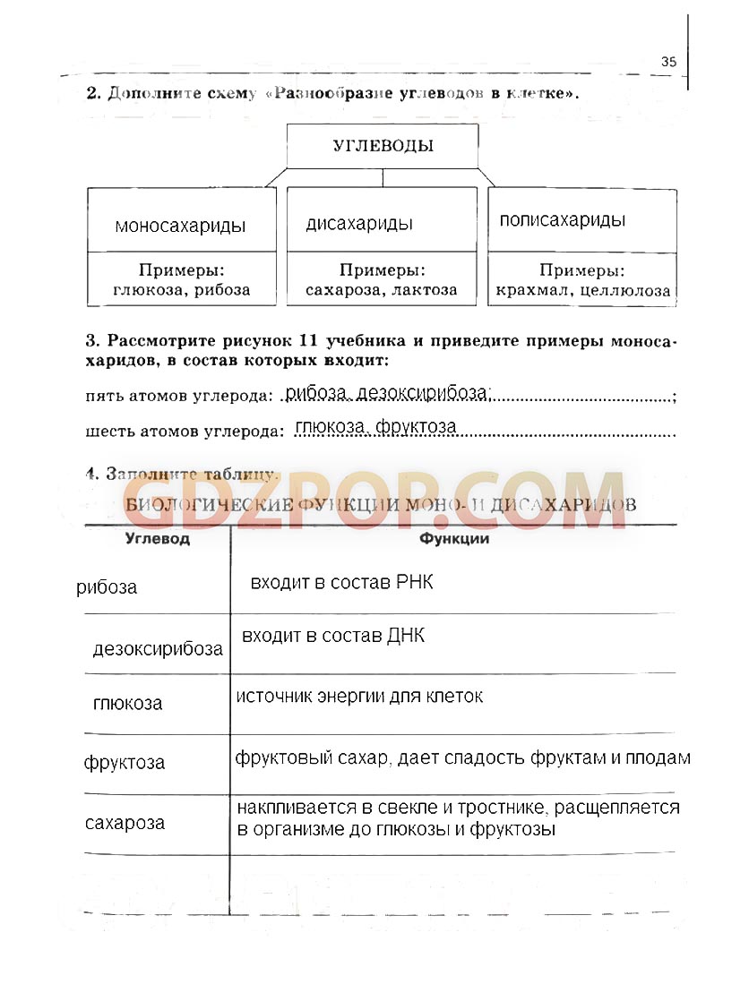 ГДЗ ГДЗ по биологии 10-11 класс рабочая тетрадь Сивоглазова Ответы