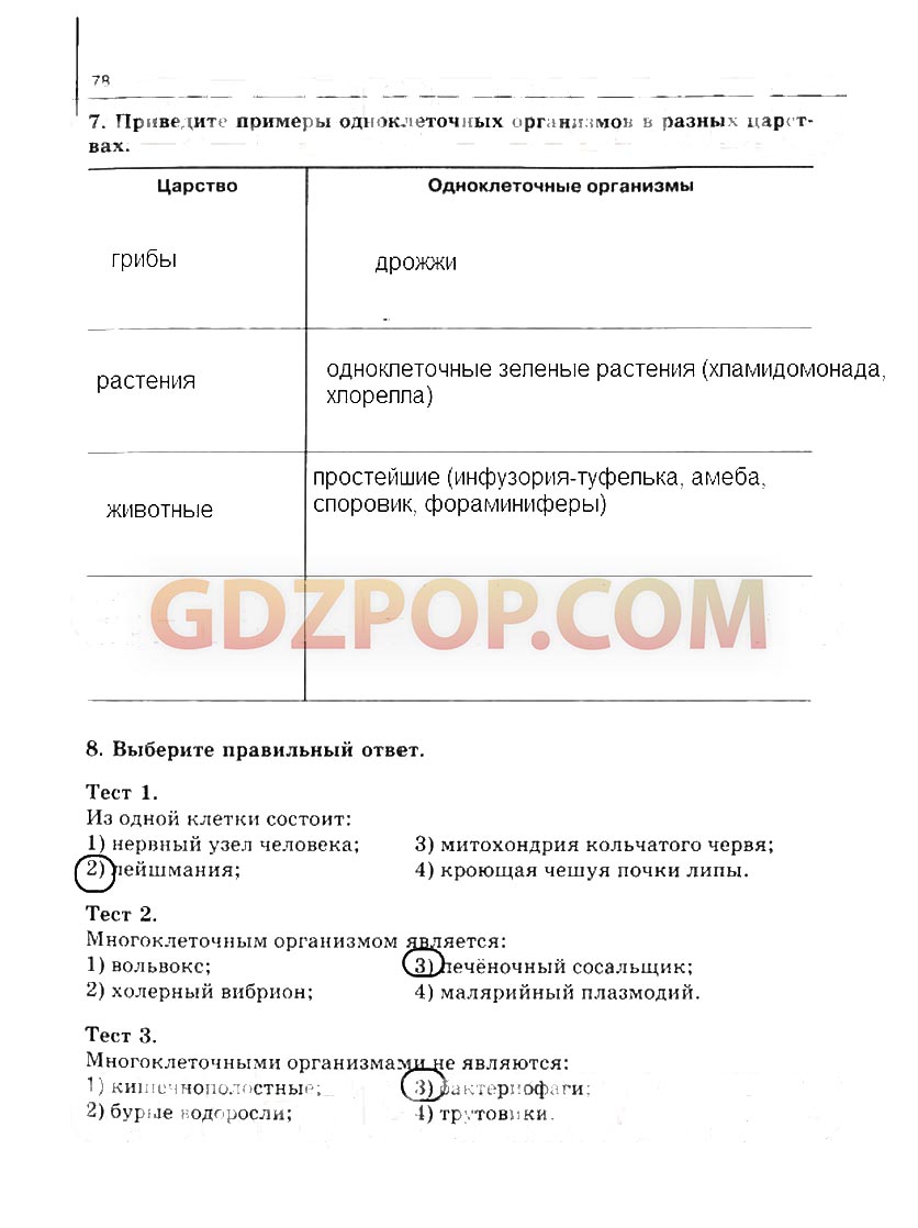 ГДЗ ГДЗ по биологии 10-11 класс рабочая тетрадь Сивоглазова Ответы