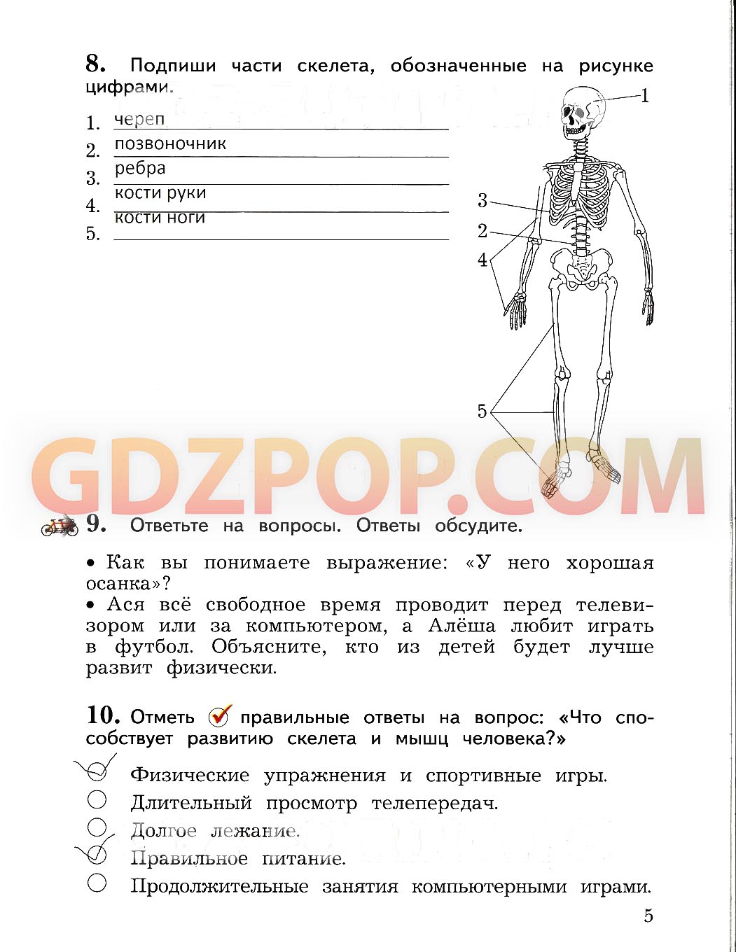 Решебник окружающий мир 4 класс