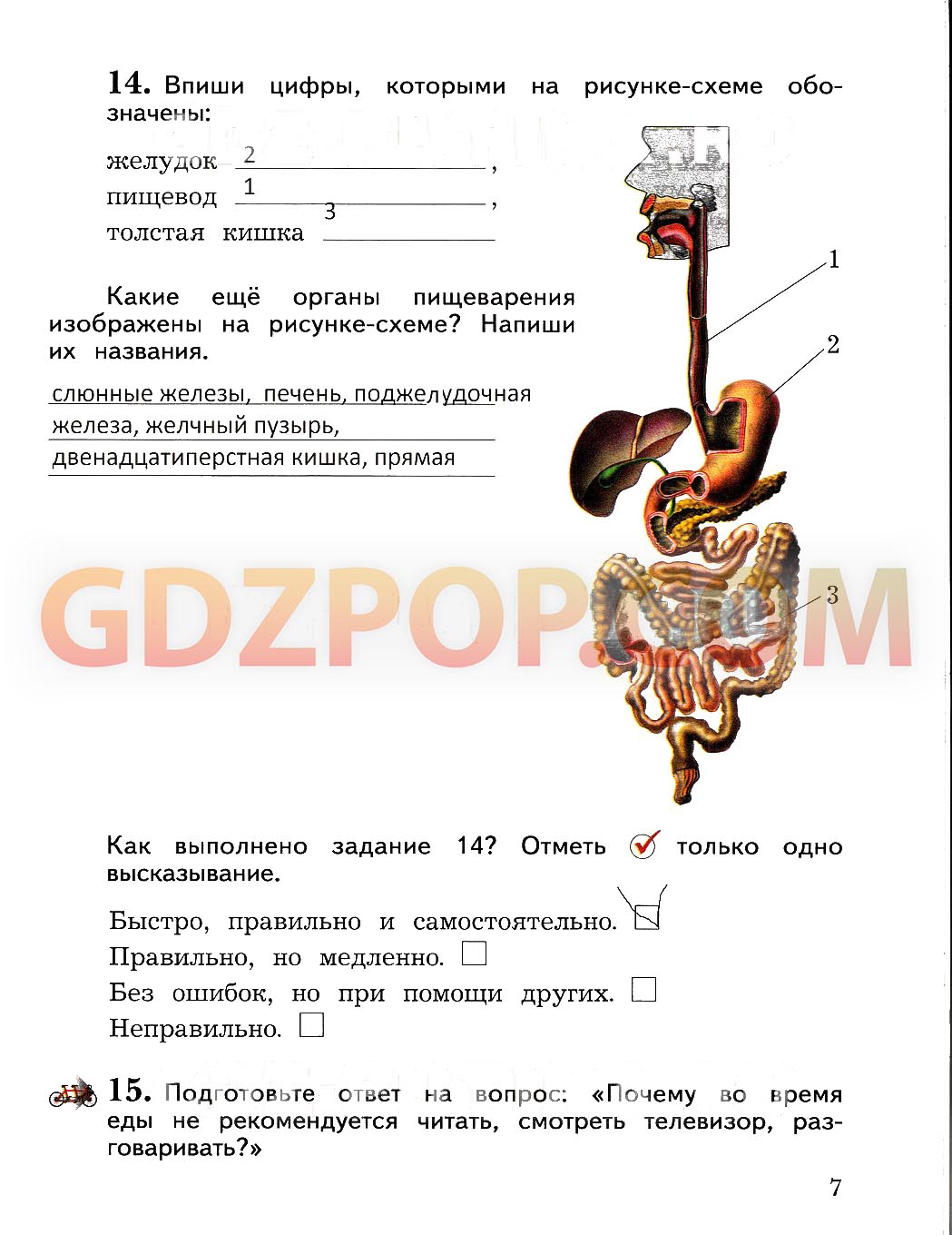 Решебник по окружающему 4 класс