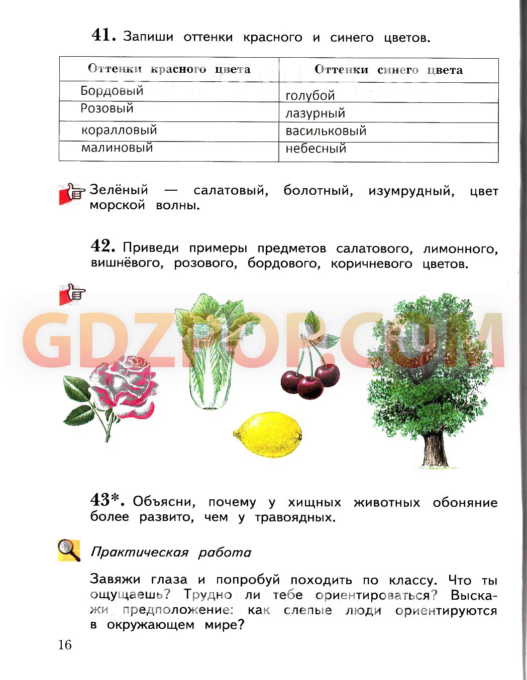 ГДЗ ГДЗ решебник окружающий мир 4 класс Виноградова Калинова Ответы