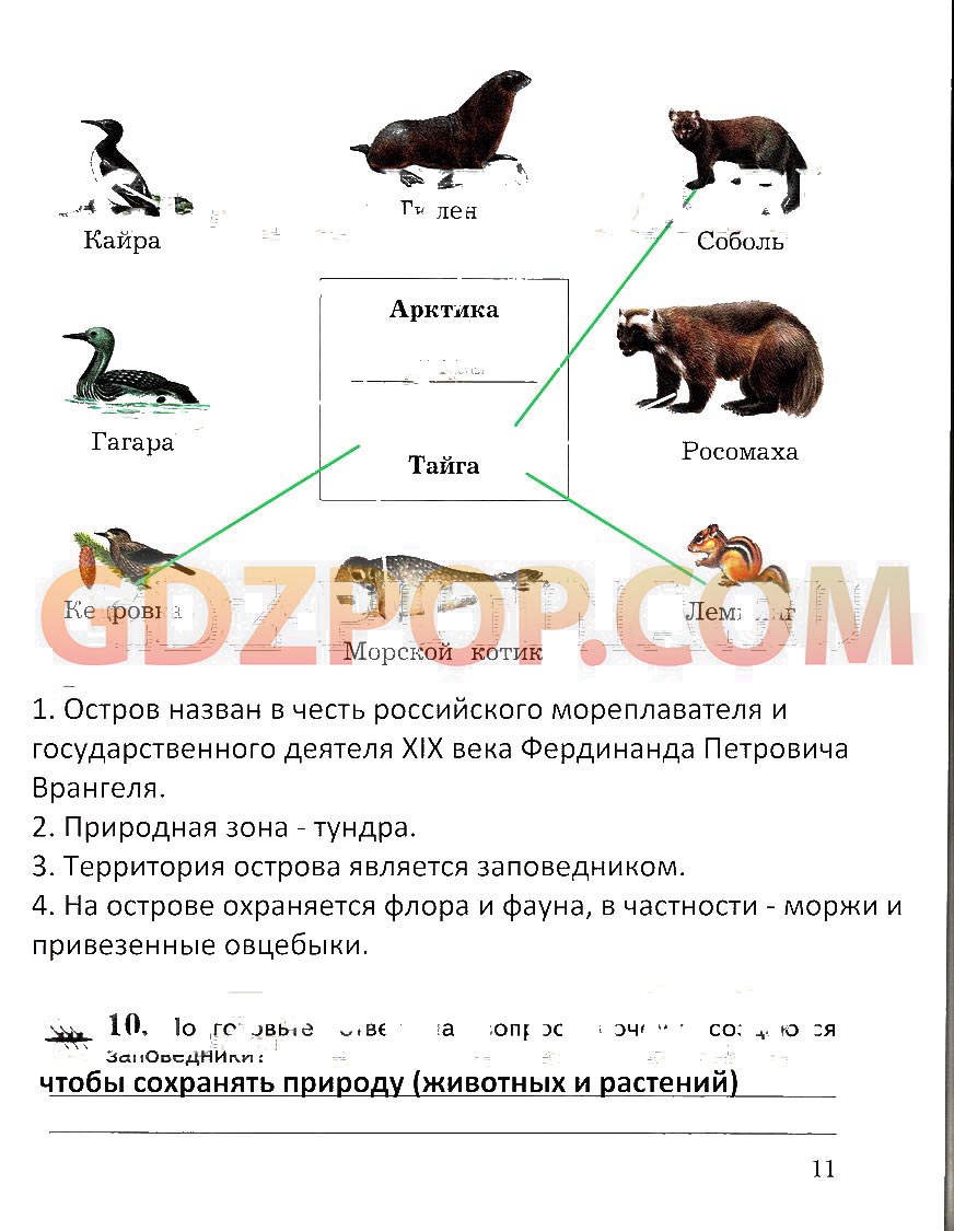 ГДЗ ГДЗ решебник окружающий мир 4 класс Виноградова Калинова Ответы