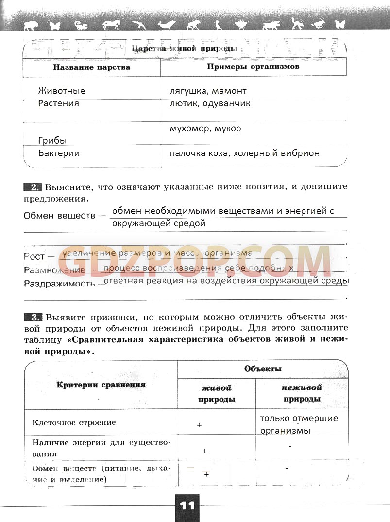 ГДЗ ГДЗ решебник по биологии 5 класс рабочая тетрадь Пасечник Суматохин  Ответы