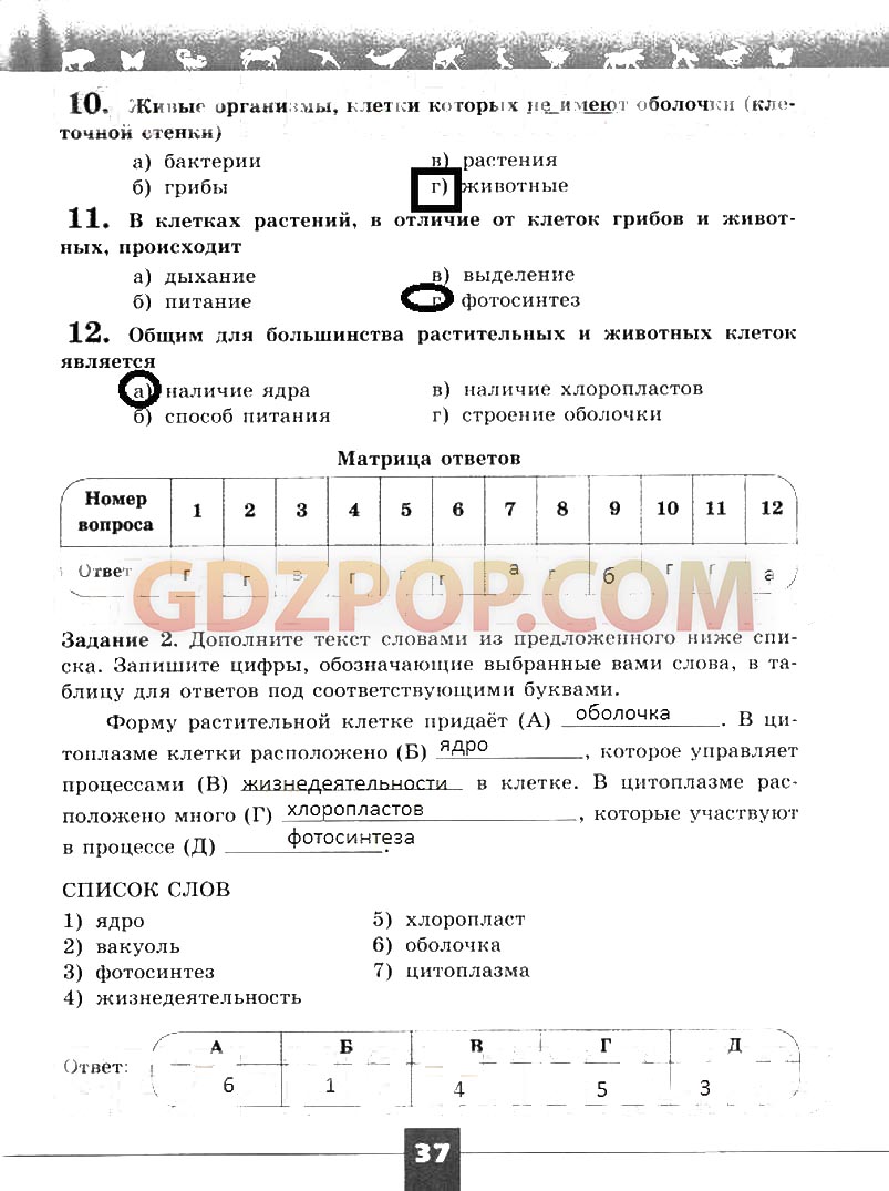 ГДЗ ГДЗ решебник по биологии 5 класс рабочая тетрадь Пасечник Суматохин  Ответы