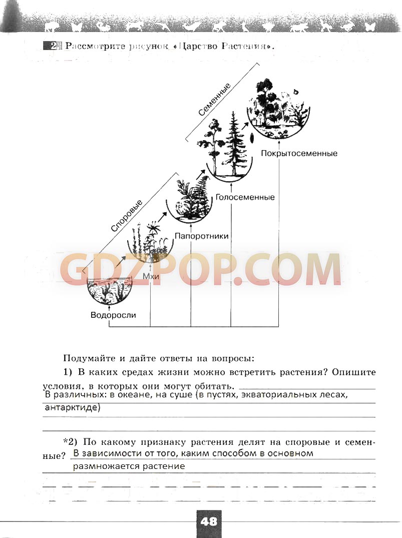 ГДЗ ГДЗ решебник по биологии 5 класс рабочая тетрадь Пасечник Суматохин  Ответы