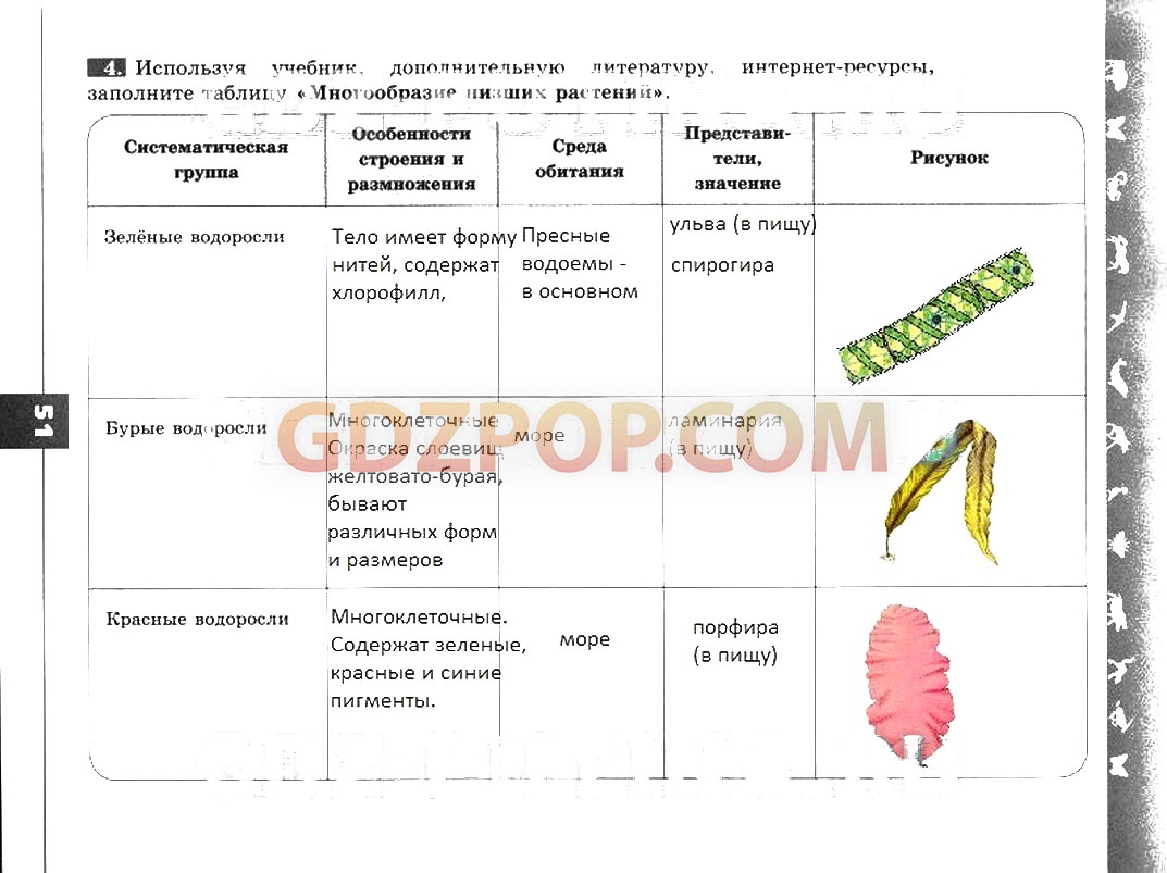 Биология параграф 11 вопросы. Таблица водоросли 5 класс биология Пасечник. Таблица по биологии 7 класс Пасечник водоросли. Таблица по биологии 5 класс. Заполните таблицу биология 5 класс.