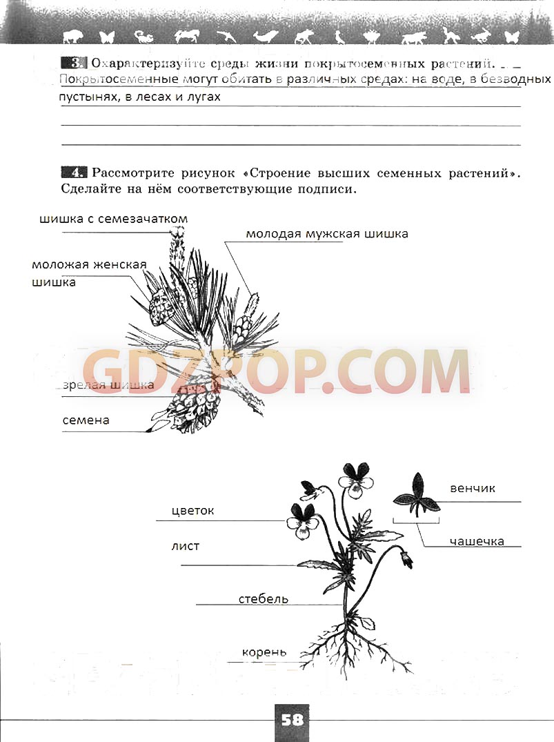 ГДЗ ГДЗ решебник по биологии 5 класс рабочая тетрадь Пасечник Суматохин  Ответы