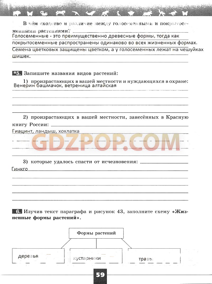 ГДЗ ГДЗ решебник по биологии 5 класс рабочая тетрадь Пасечник Суматохин  Ответы