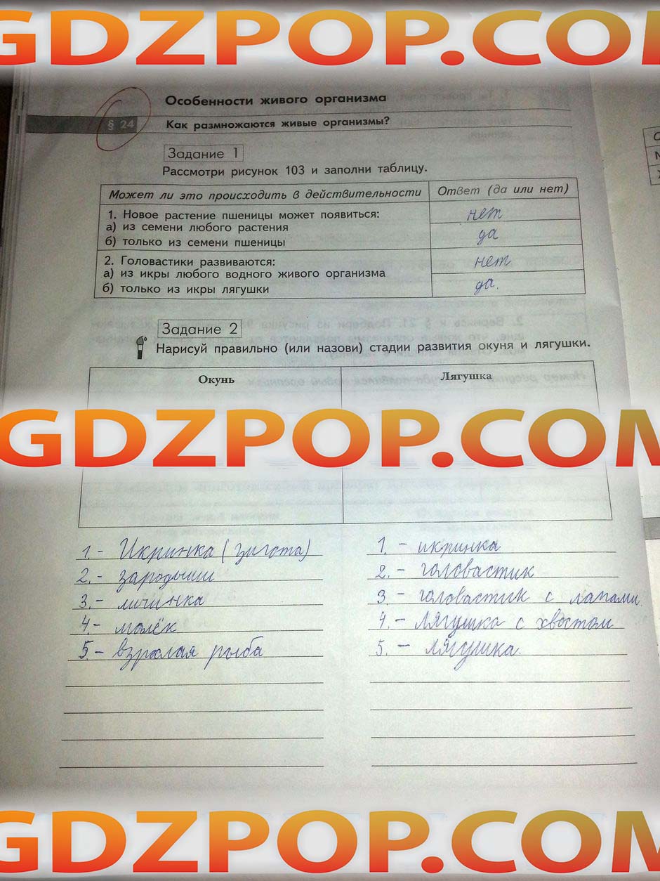 ГДЗ ГДЗ природоведение 5 класс Сухова Строганов рабочая тетрадь смотреть  Ответы