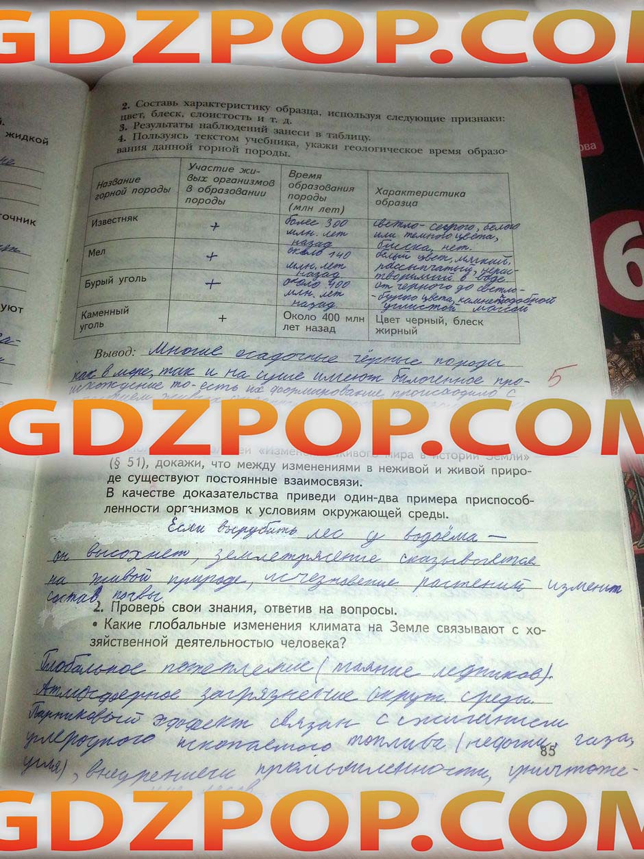 ГДЗ ГДЗ природоведение 5 класс Сухова Строганов рабочая тетрадь смотреть  Ответы