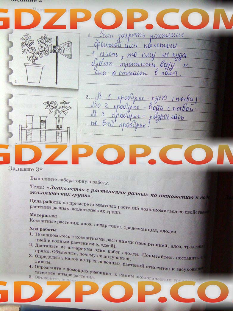 ГДЗ ГДЗ решебник по биологии 6 класс рабочая тетрадь Пономарева 1 и 2 часть  Ответы