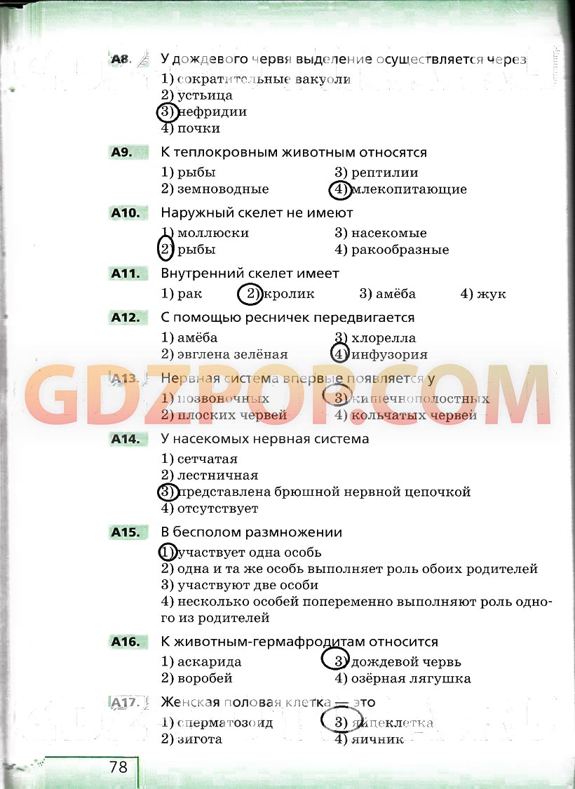 Биология 6 класс тетрадь сонина. Учебник по биологии Сонин 6 класс с белочкой. Учебник по биологии 6 класс Сонин с белкой. Биология 6 класс тесты с ответами Сонин с белочкой ответы. Гдз по биологии 6 класс рабочая тетрадь Сонин с белочкой.