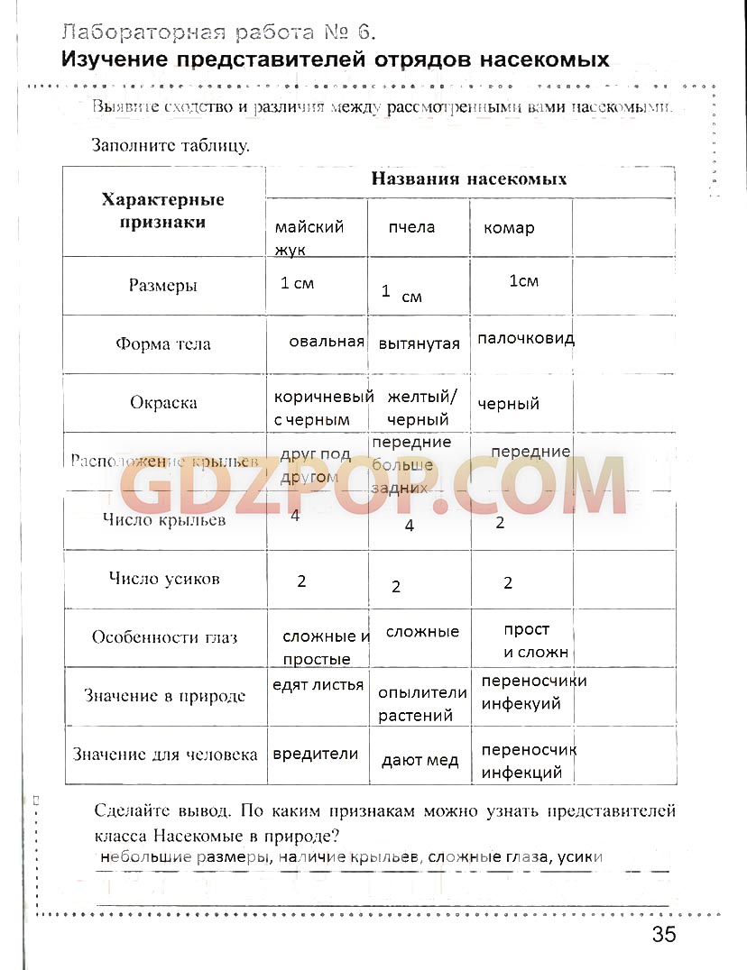 ГДЗ ГДЗ решебник по биологии 7 класс рабочая тетрадь Преображенская Ответы