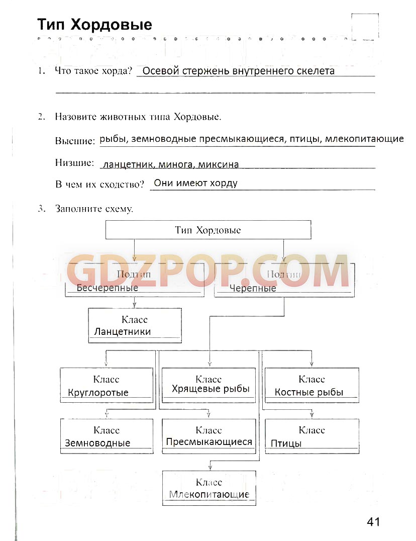 ГДЗ ГДЗ решебник по биологии 7 класс рабочая тетрадь Преображенская Ответы