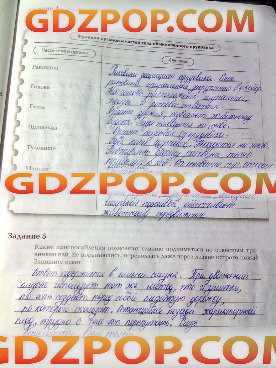 ГДЗ ГДЗ по биологии 7 класс рабочая тетрадь Суматохин Кучменко 1 и 2 часть  Ответы